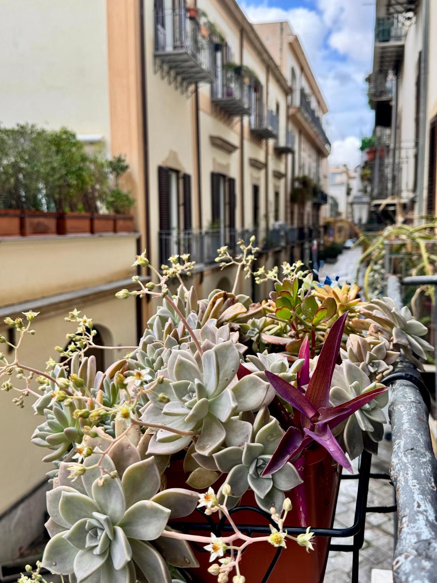 Vetriera Home Palermo Exteriör bild